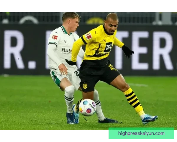 多特蒙德本赛季德甲表现稳健，竞争力持续提升